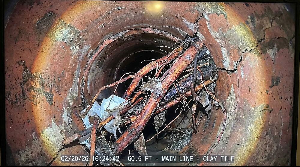 Sewer scope camera footage showing tree root intrusion in a clay sewer pipe during a home inspection in Southern New Brunswick